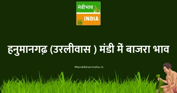 bajra भाव